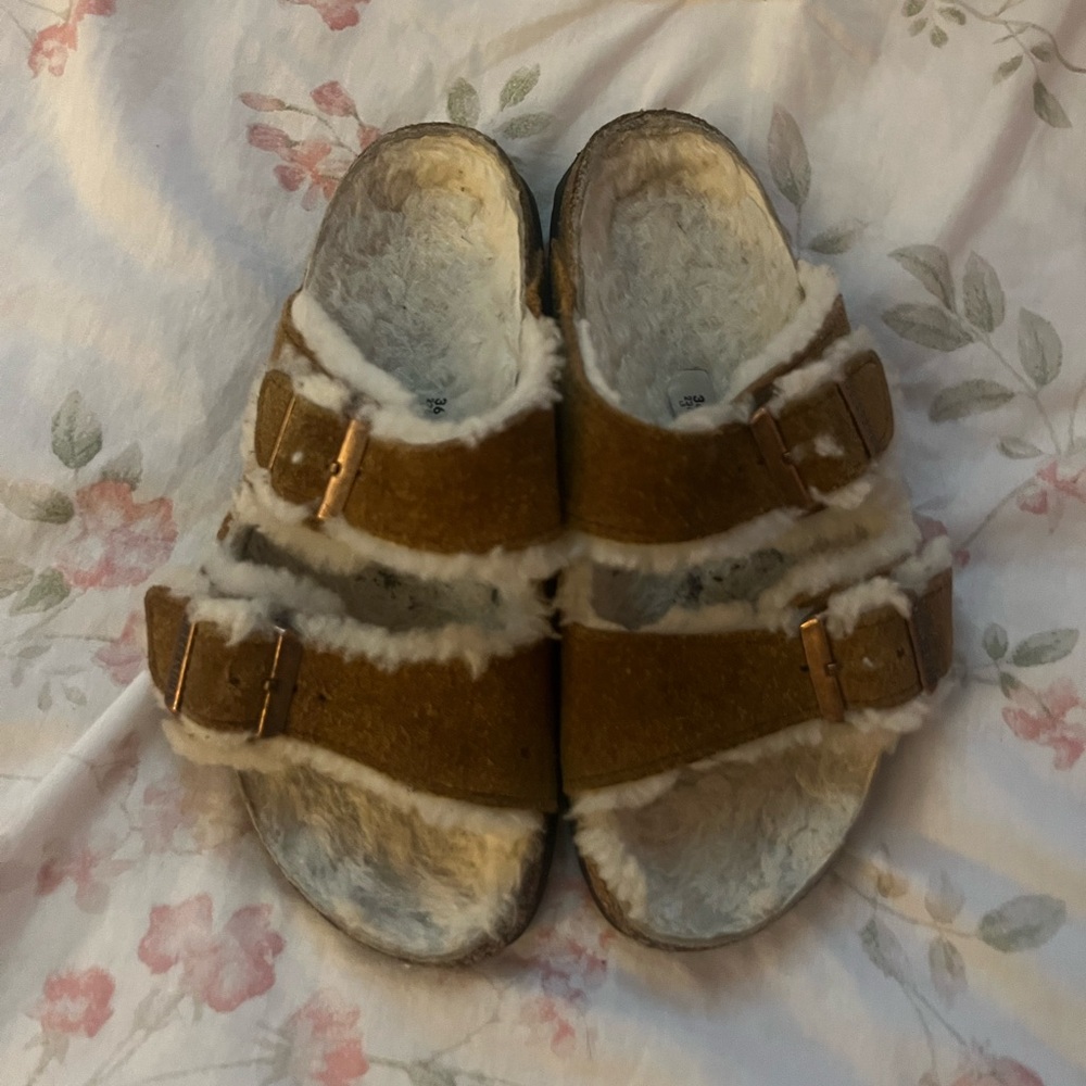 brown fuzzy birks